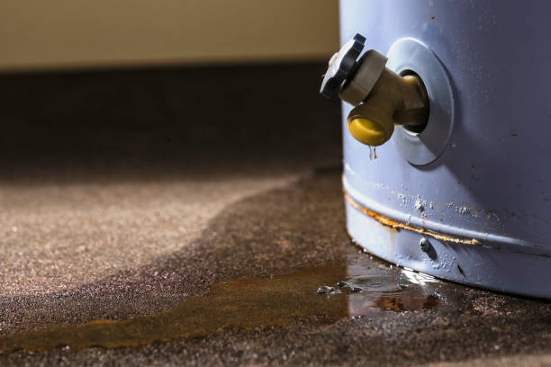 Best Ceiling water damage repair  in Port Richey, FL
