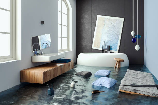Best Flood damage cleanup  in Port Richey, FL