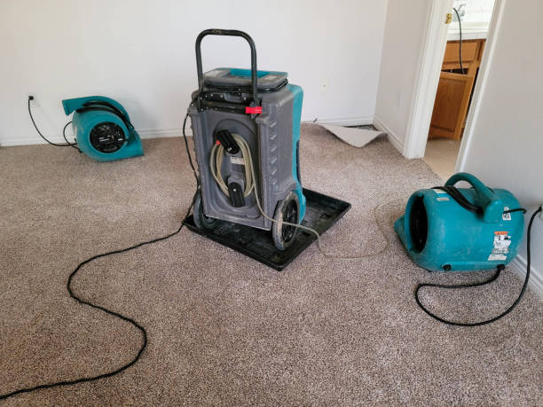 Local water damage restoration in FL