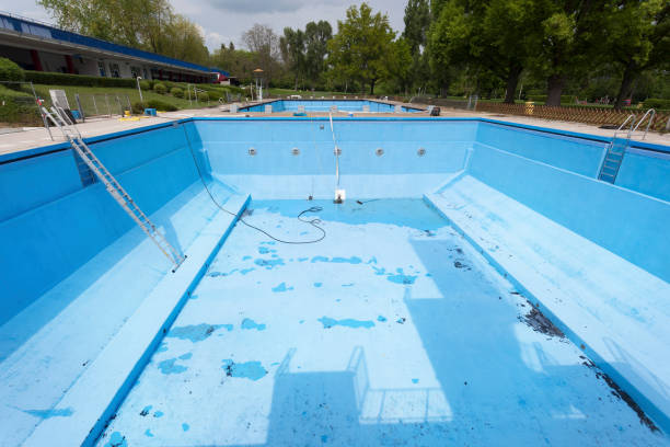 Best Local water damage restoration  in Port Richey, FL