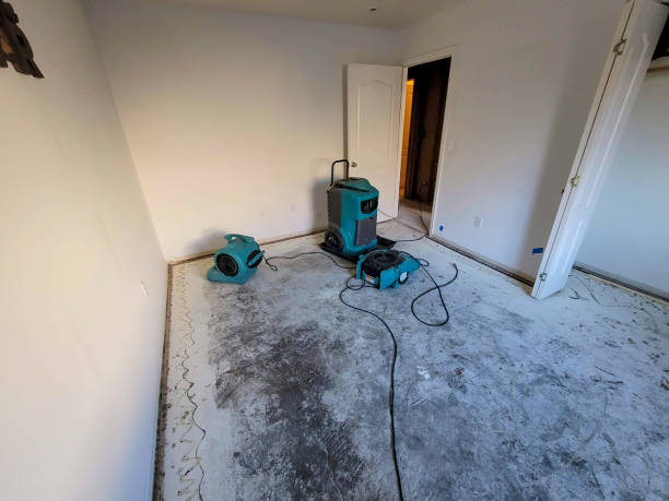 Best 24-hour water damage restoration  in Port Richey, FL