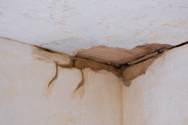 Best Water damage restoration process  in Port Richey, FL
