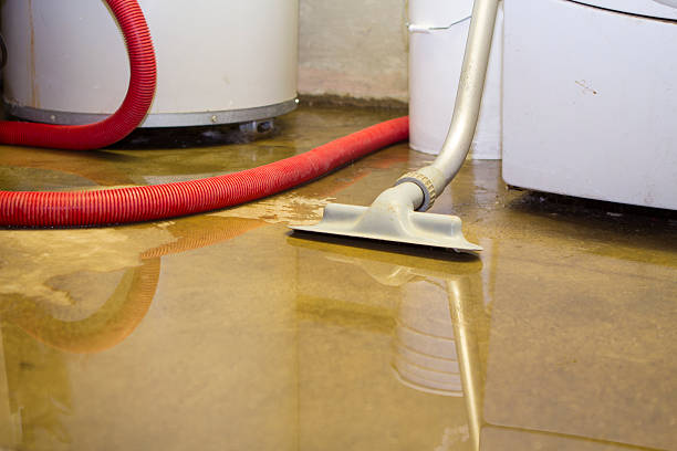 Best 24/7 water damage repair  in Port Richey, FL