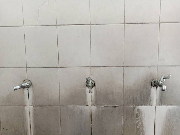 Best Flooded house restoration  in Port Richey, FL