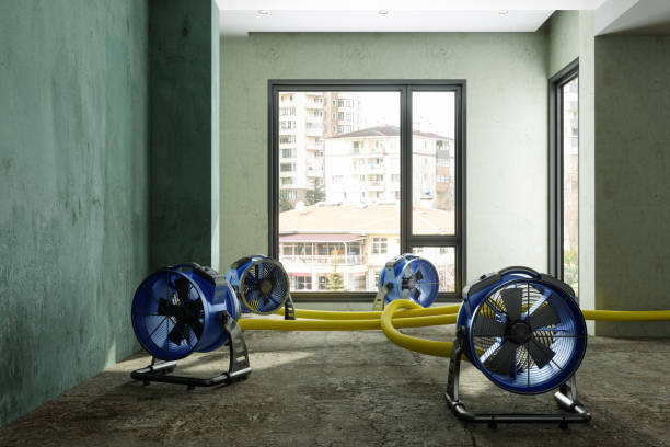 Port Richey, FL Water damage restoration Pros